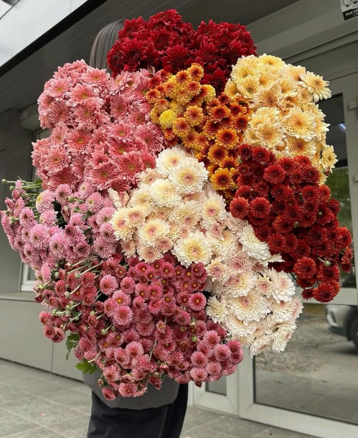 Große Auswahl an Chrysanthemen in verschiedenen Farben und Sorten für Floristen
